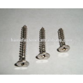 Aço inoxidável 304 cabeça escareada Self Tapping Screw